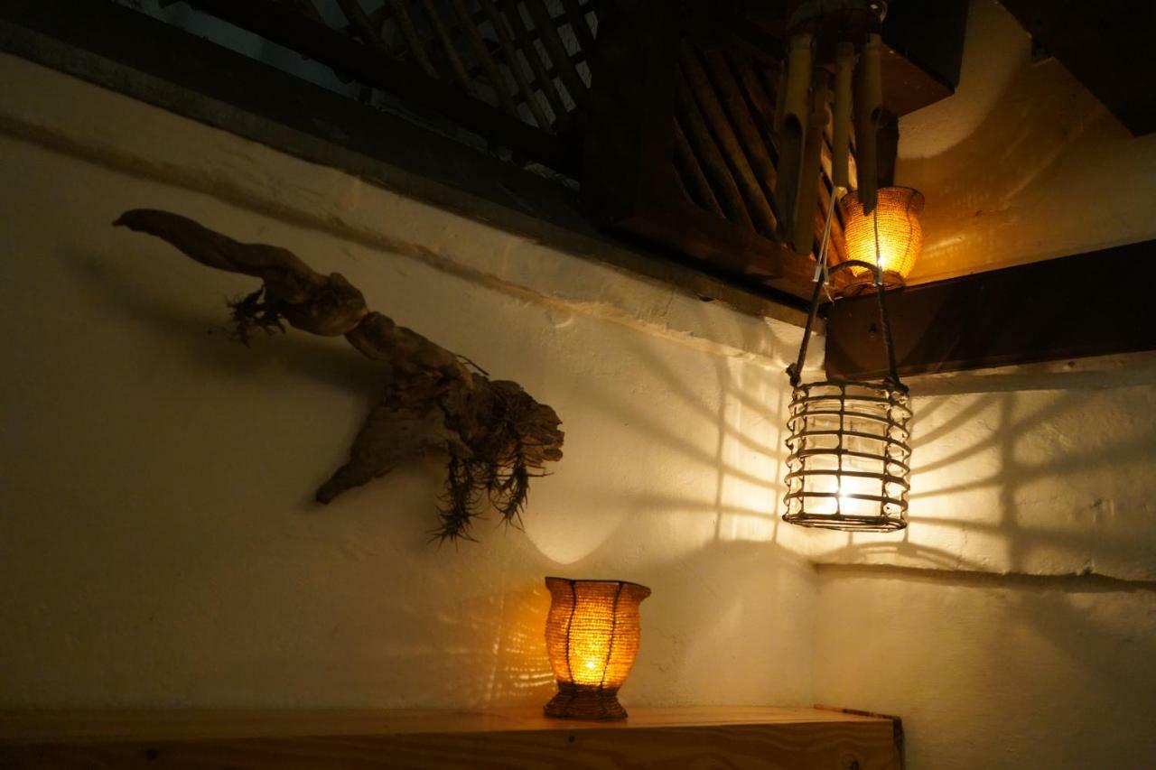 Auberge de jeunesse Urban Hive Backpackers à Le Cap Extérieur photo